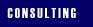 Consulting Services